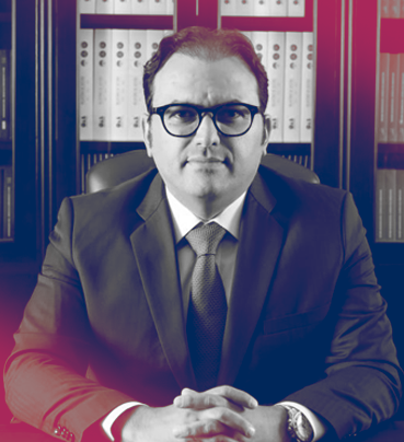 Marcus Vinicius Furtado Coêlho, Ex-Presidente do CFOAB